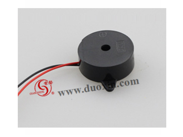 DXP23095W(Self Drive) Piezo BUZZER