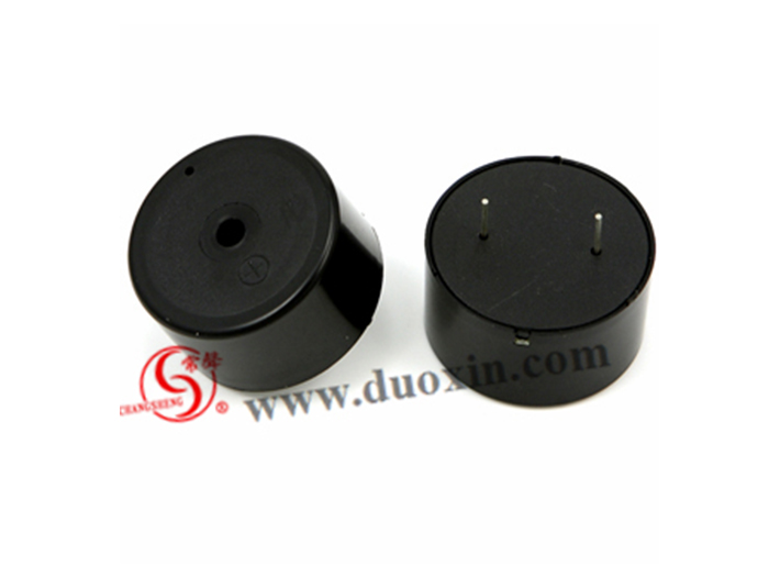 DXP2418(Self Drive) Piezo BUZZER