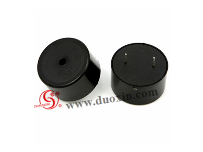 DXP4020(Self Drive) Piezo BUZZER