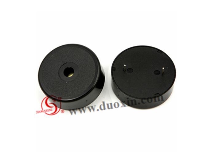 DXP4314(Self Drive) Piezo BUZZER