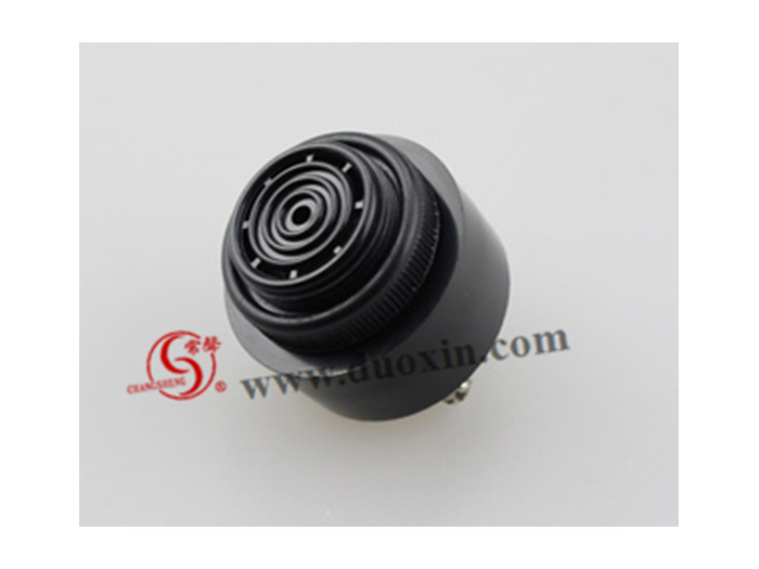 DXP4333(Self Drive) piezo BUZZER