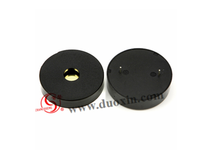 DXP4410 Piezo BUZZER