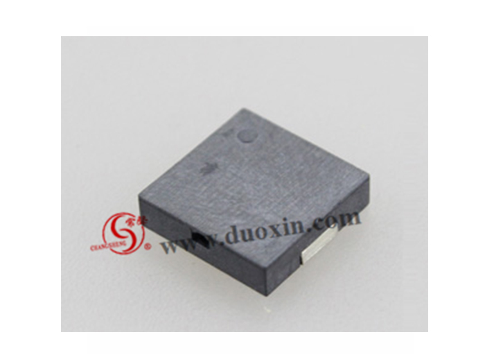 DXP1212030 Piezo BUZZER