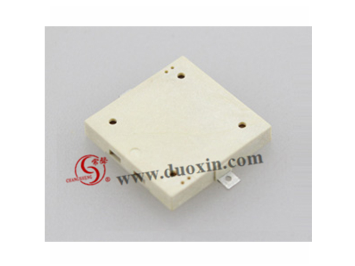 DXP1616025-2 Piezo BUZZER