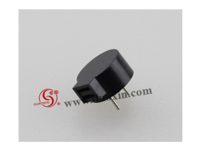 DX9650S Magnetic BUZZER