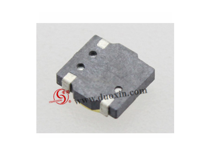 DX5050017 Magnetic BUZZER