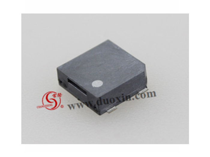 DX1010032 Magnetic BUZZER