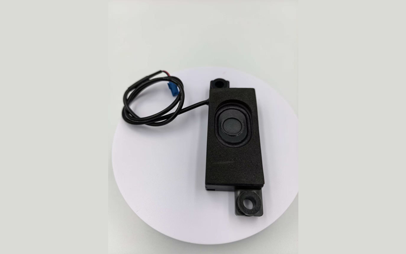 BYD2840E02V00 ENCLOSED SPEAKER